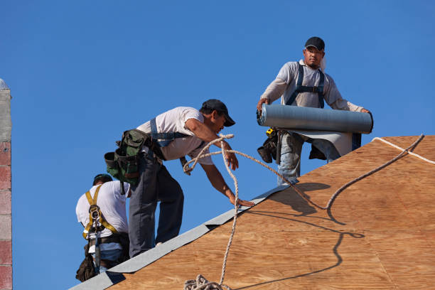 Best Roof Leak Repair  in Northfield, IL